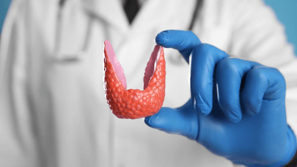 ¿Qué pruebas y estudios realiza un endocrinólogo en Guadalajara? | Tratamientos&nbsp;Hormonales